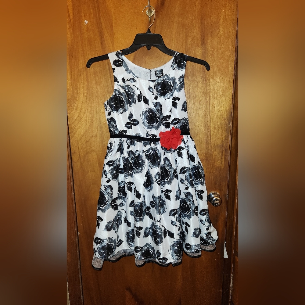 Pink & Violet girl's dress